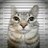 Dmitriy_Sokolov